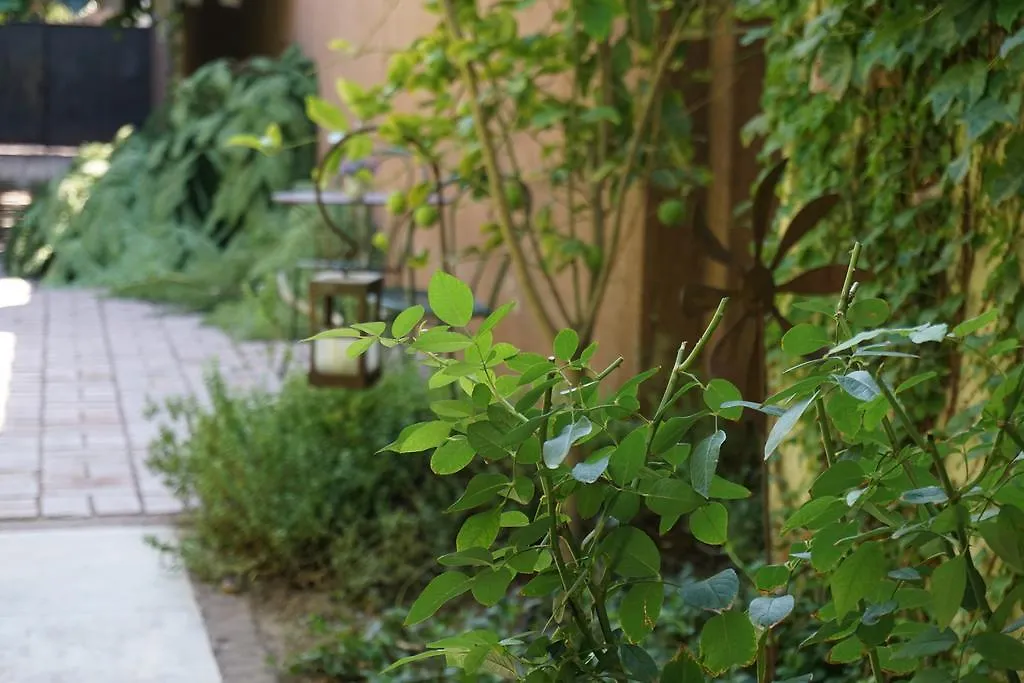 Casa Lila Bed & Breakfast Mendoza