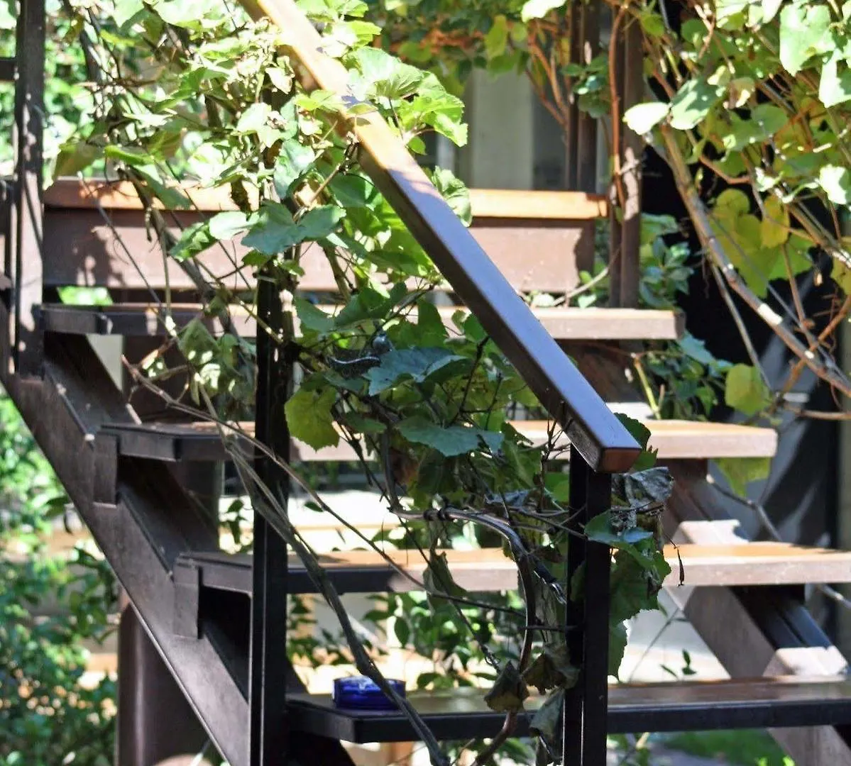 ***  Casa Lila Bed & Breakfast Mendoza Argentina