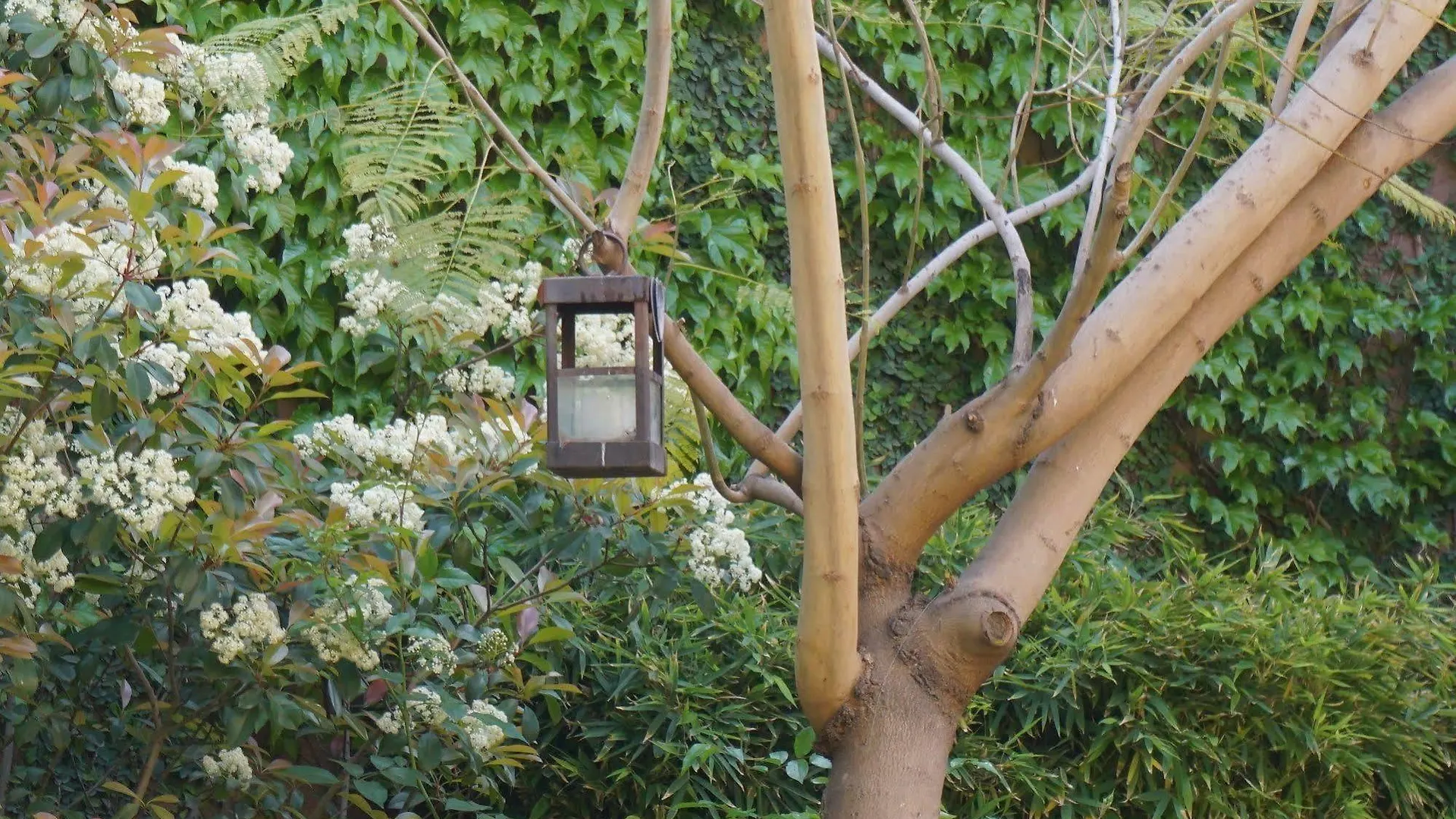 Casa Lila Bed & Breakfast Mendoza
